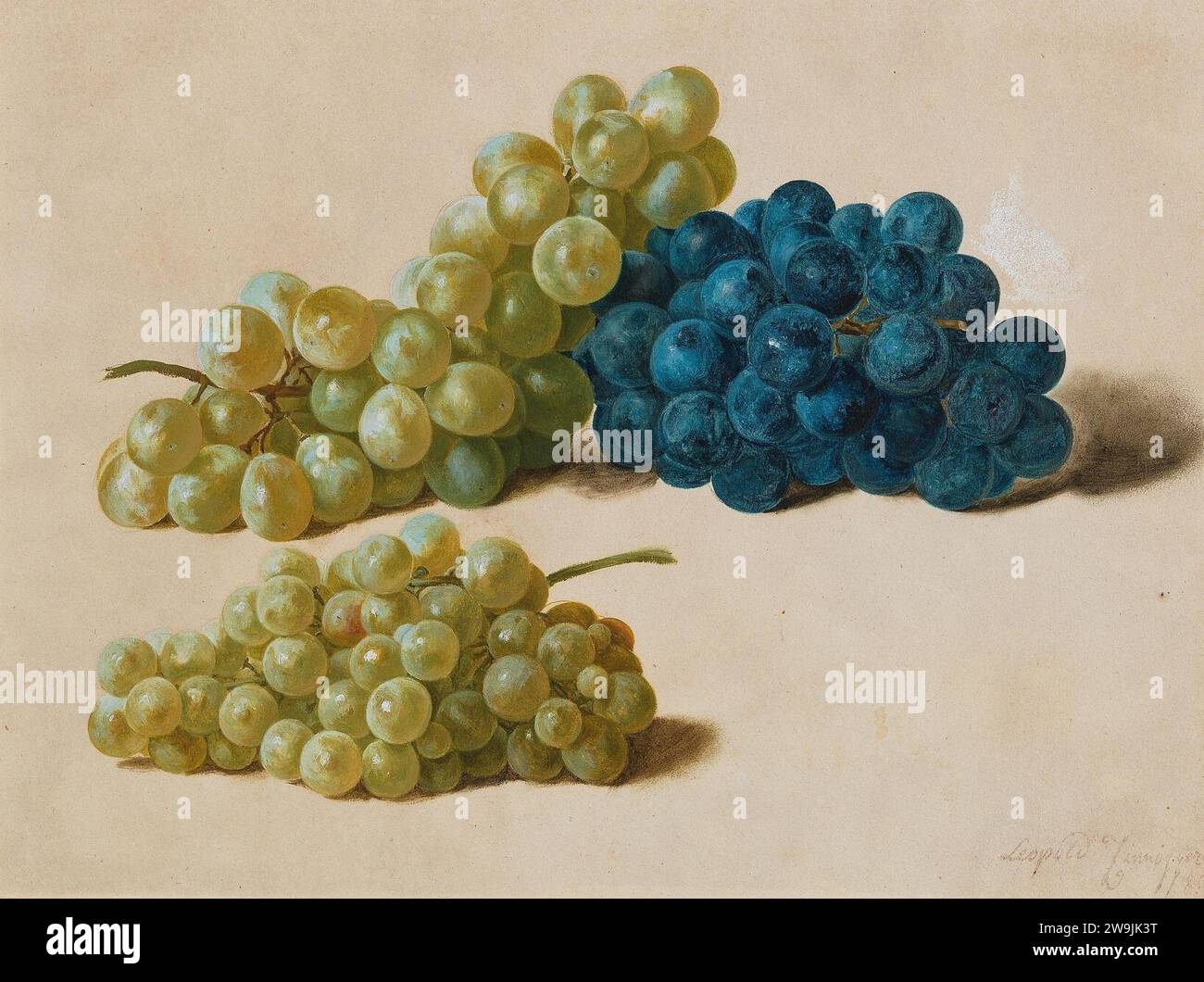 Leopold Zinnögger - Grüne und blaue Trauben (1851). Foto Stock