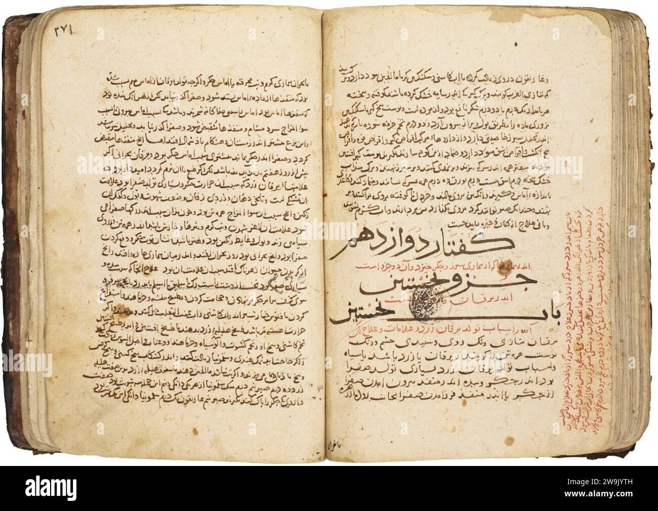 Zayn al-DIN Jurjani (d.1136 d.C.), al-Aghradh al-tibbiyah Wa'l-mabahith al-‘Iyah, un'opera medica completa in due parti principali, attribuita a Ghiyath al-DIN Zahir, Persia, Ilkhanid, fine XIII - inizio XIV secolo. Foto Stock