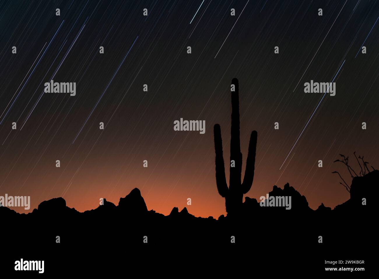 Sentieri stellari sulle Kofa Mountains, Arizona Foto Stock