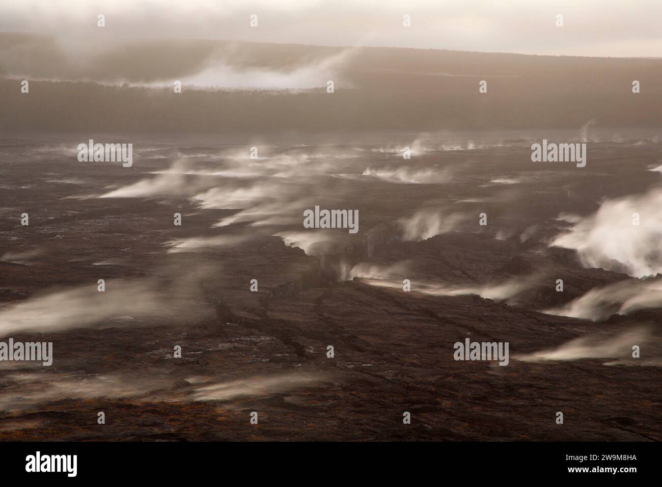 Kilauea Caldera dal Crater Rim Trail a Kilauea Overlook, Hawaii Volcanoes National Park, Hawaii Foto Stock