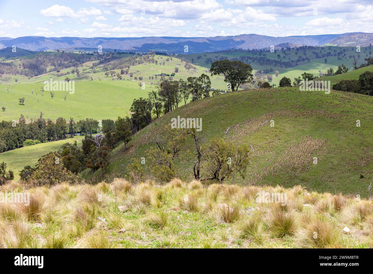 Catena montuosa Blue Mountains e fiume Cox all'interno della linea degli alberi, New South Wales centro-occidentale nell'area di Lithgow, NSW, Australia Foto Stock