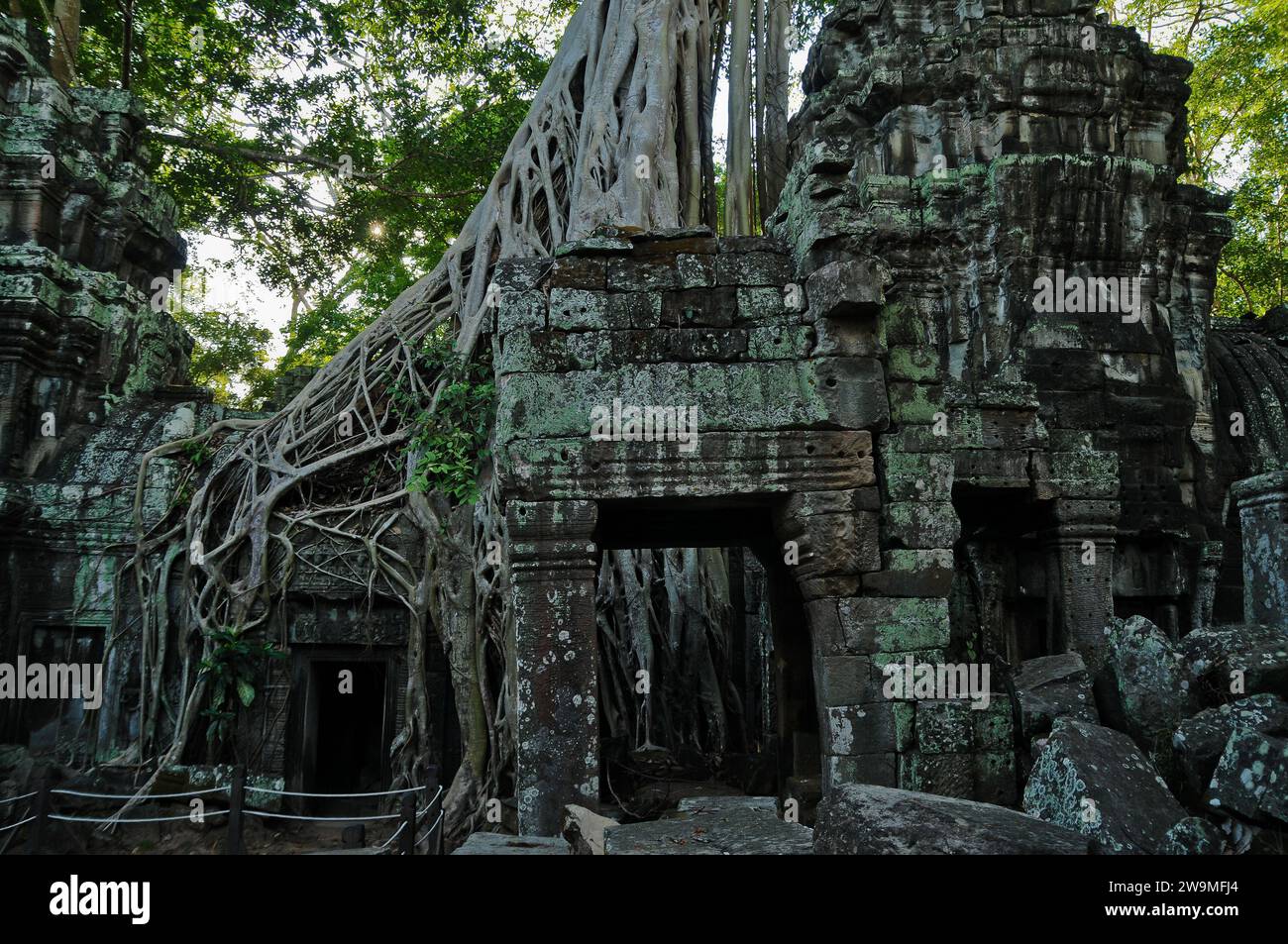 Tempio di Tomb Raider, Ta Prohm, Templi di Angkor Foto Stock