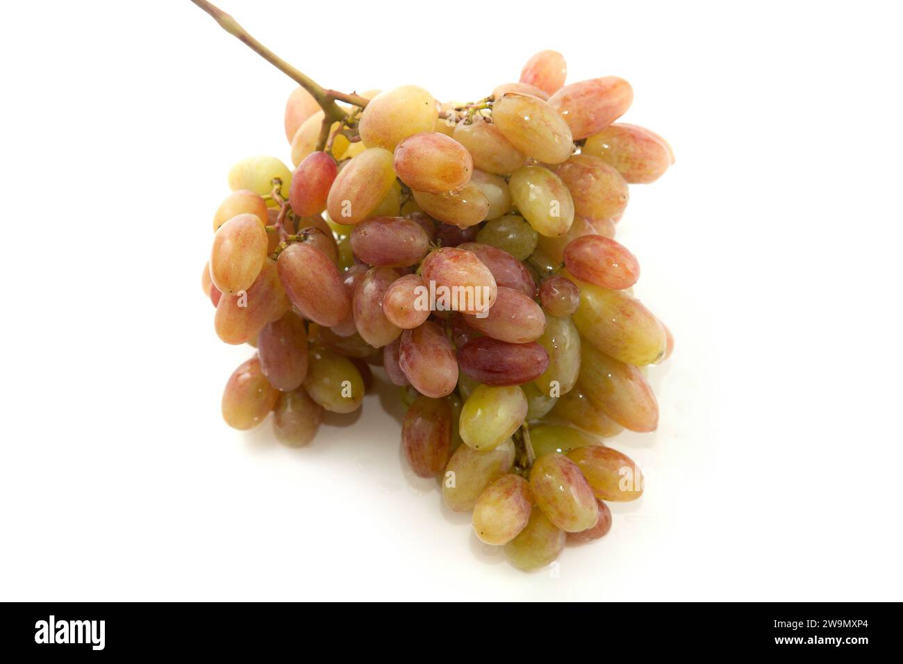 Grande mazzo di uva rosa matura isolato su fondo bianco. Foto Stock