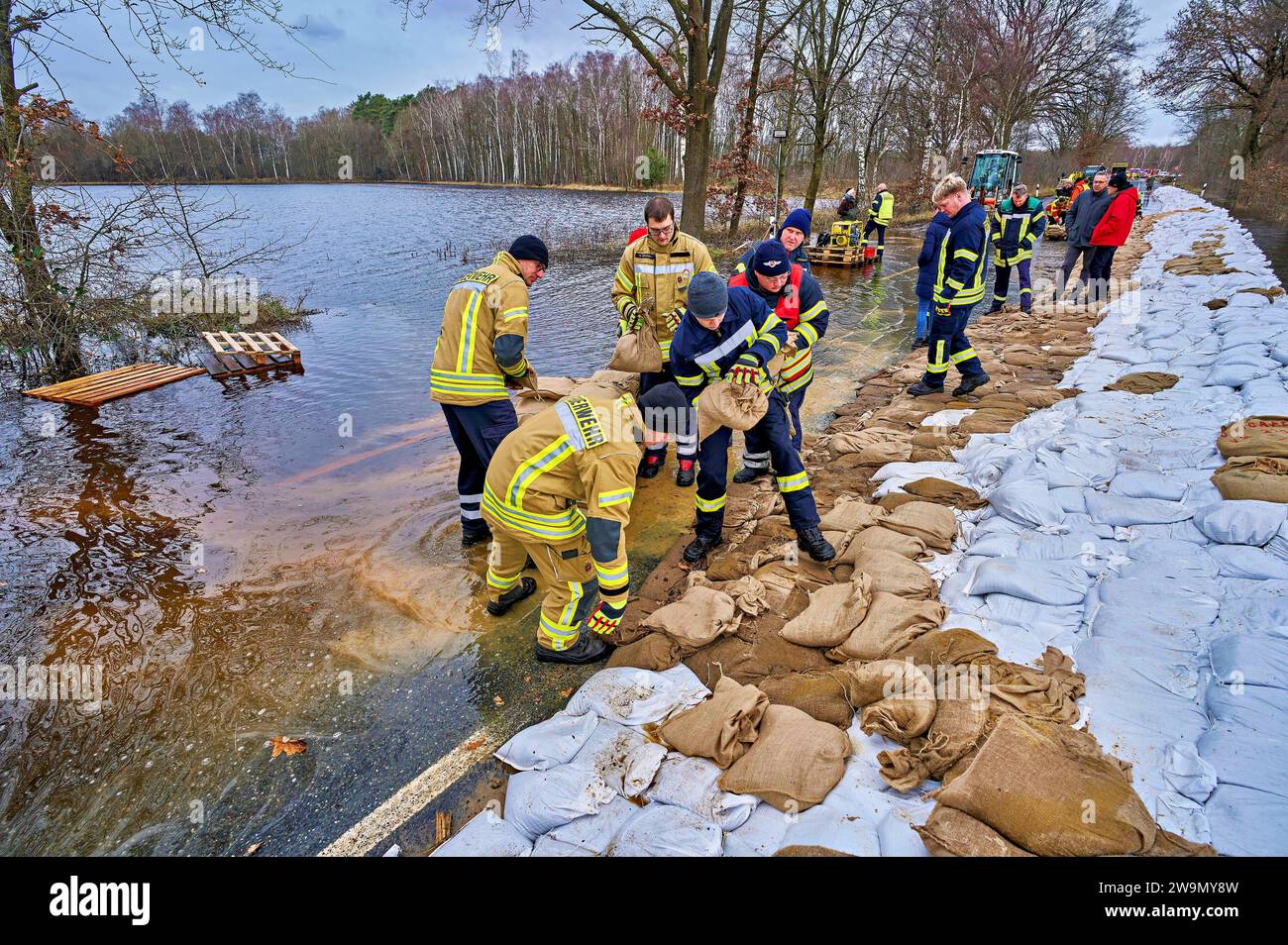 Hochwasser und Überschwemmungen der Aller in der Region Heidekreis nach ...
