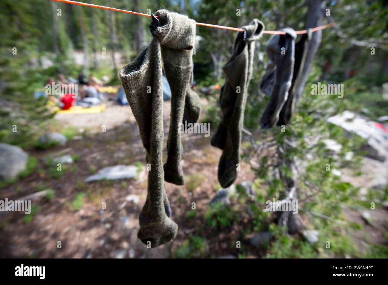I calzini rimangono ad asciugare dopo che la truppa fa il bucato nel loro accampamento a Douglas Lake il 3° giorno del loro trekking attraverso l'Eagle Cap Wilderness nel nord-est dell'Oregon. Foto Stock