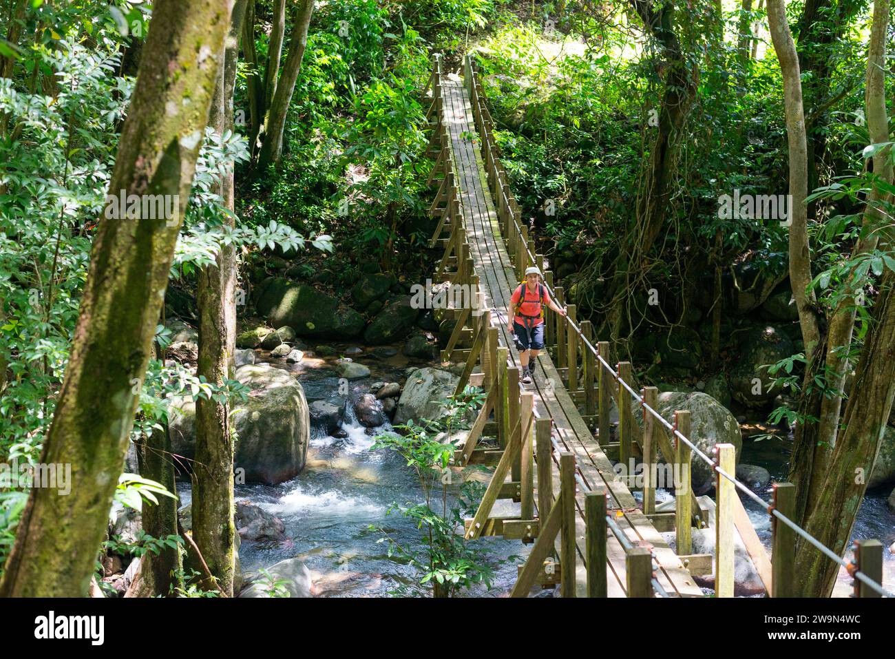 Un escursionista con zaino in spalla attraversa un ponte sospeso sul segmento 11 del Waitukubuli National Trail sull'isola caraibica di Dominica. Foto Stock