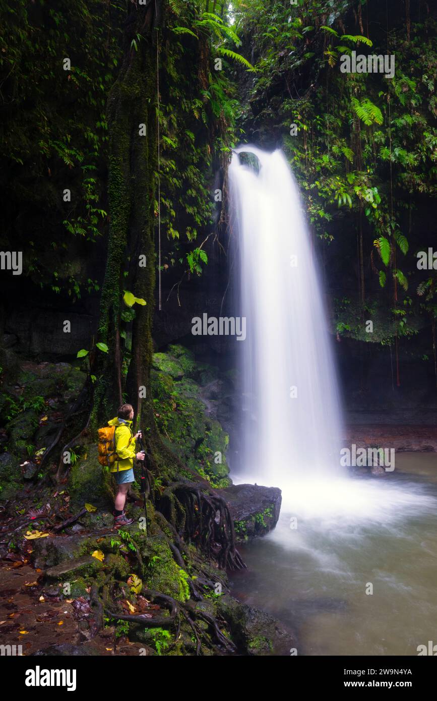 Un viaggiatore con zaino in spalla si trova accanto a una splendida cascata che si getta nella piscina di Smeraldo nel segmento 5 del Waitukubuli National Trail sull'isola caraibica di Dominica. Foto Stock