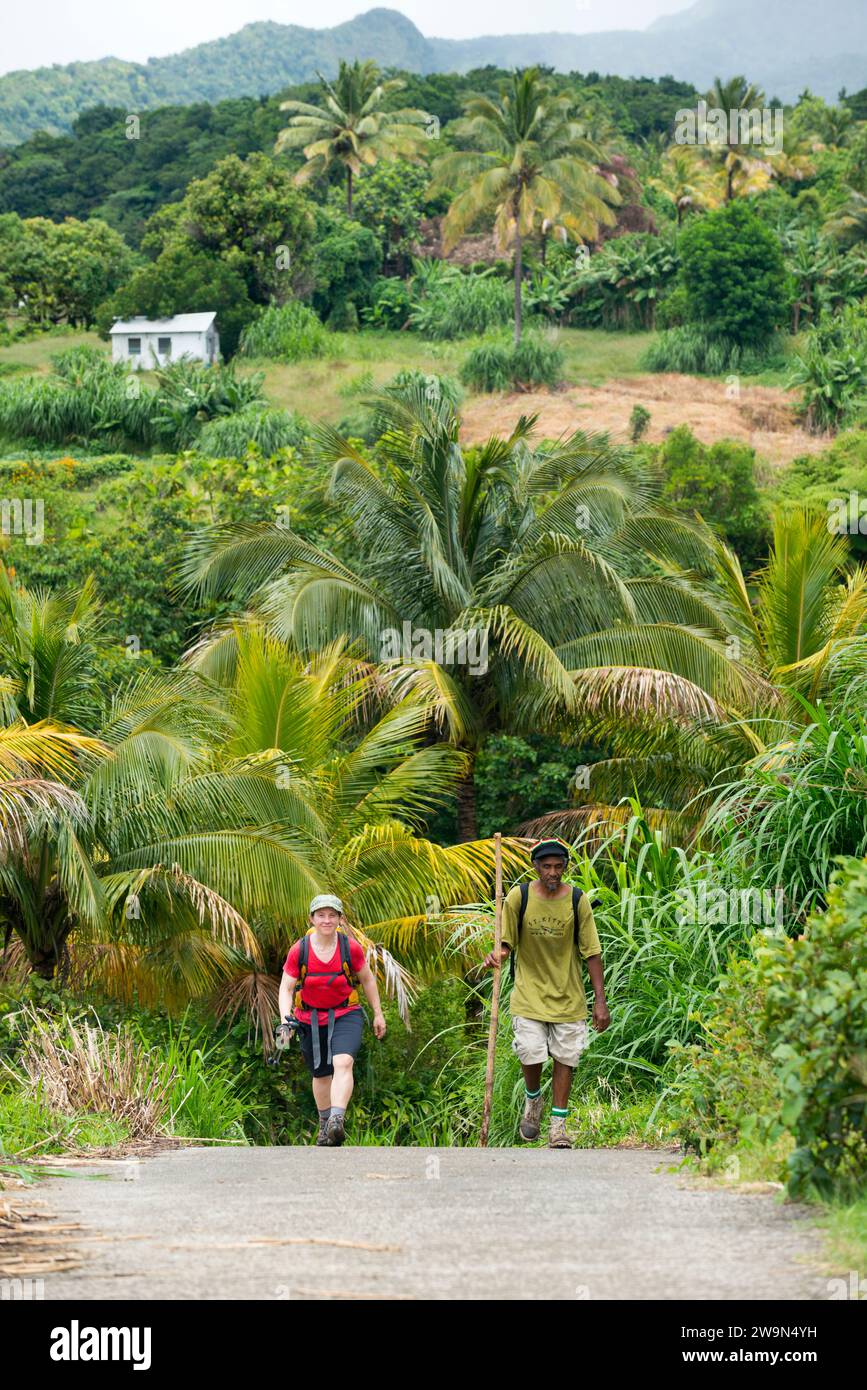 Una donna e la sua guida camminano nel segmento 3 del Waitukubuli National Trail sull'isola caraibica di Dominica. Foto Stock