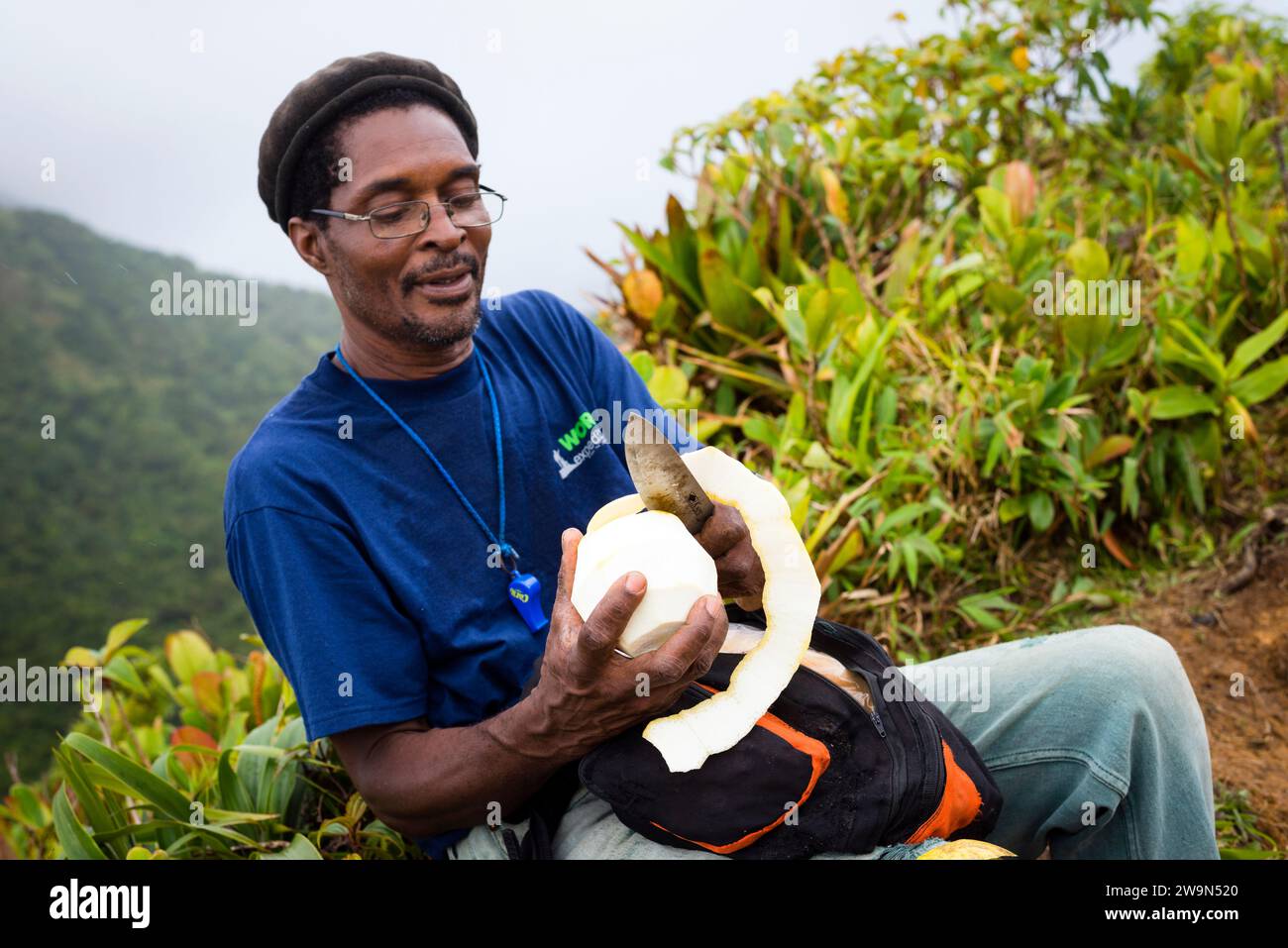 Un uomo taglia un pompelmo con un grosso coltello durante l'escursione al Boiling Lake nel Morne Trois Pitons National Park, sull'isola caraibica di Dominica. Foto Stock