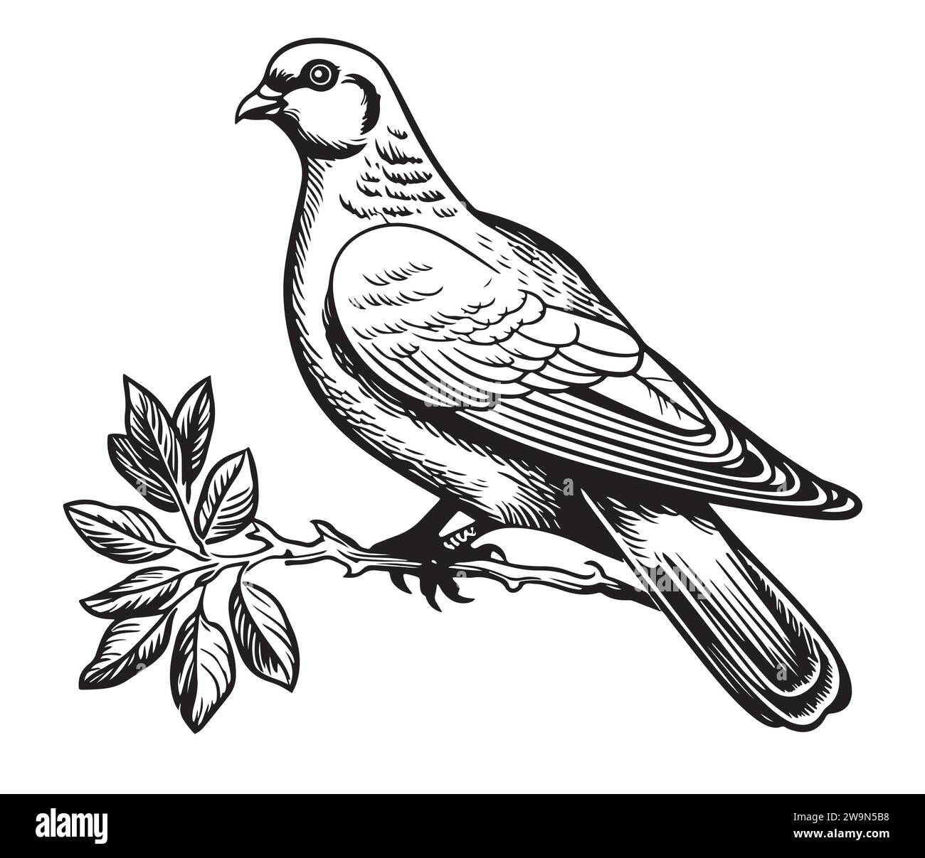 Colomba piccione con brunch di olive. Illustrazione del vettore di schizzo Illustrazione Vettoriale