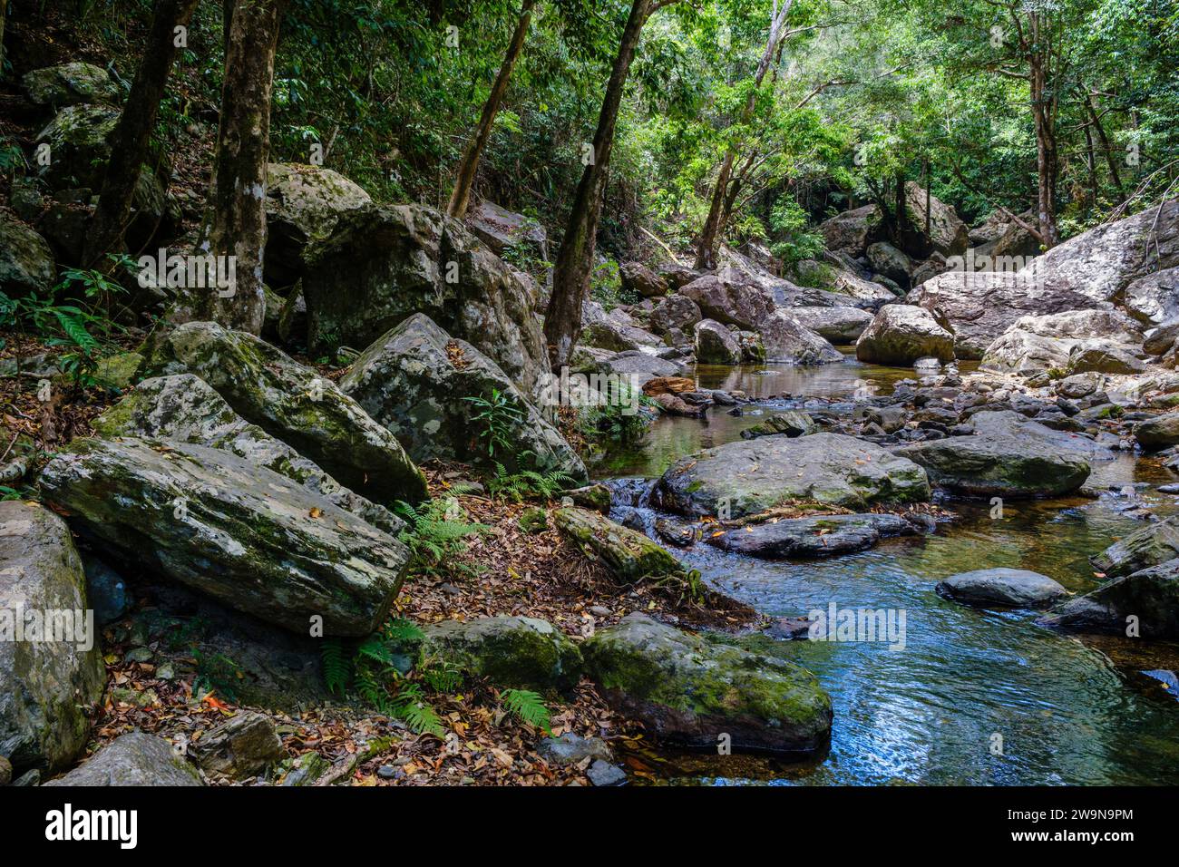 Stoney Creek, vicino a Cairns, Queensland, Australia Foto Stock