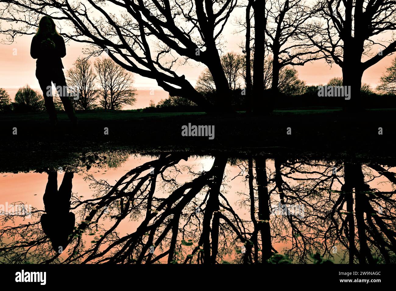 Una donna in silhouette si riflette in una pozza d'acqua dagli alberi in campagna la sera a Londra Regno Unito Foto Stock