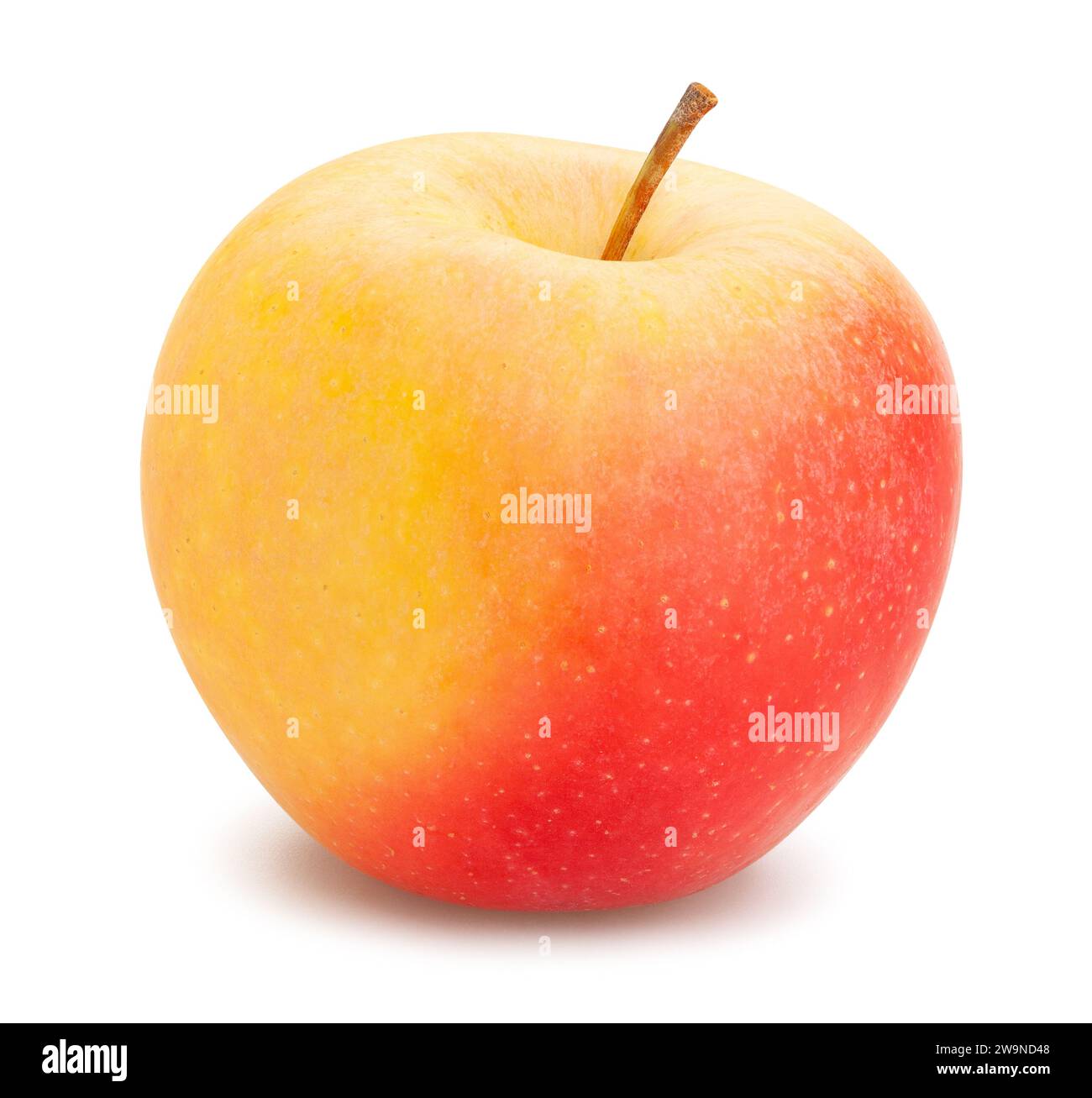colorato percorso di mele isolato su bianco Foto Stock