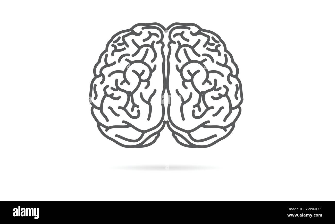Concetto di illustrazione del cervello umano. Vista dall'alto e design monocromatico pulito. EPS. Vettore Illustrazione Vettoriale