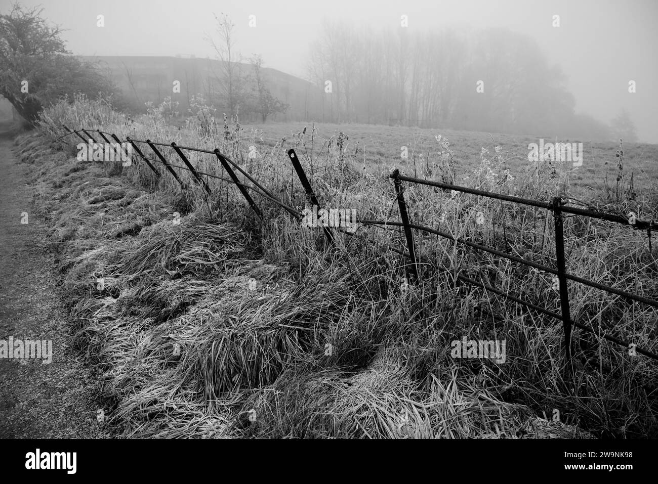 Una nebbiosa mattinata invernale lungo il sentiero pubblico di Arden Way nel Warwickshire. Foto Stock