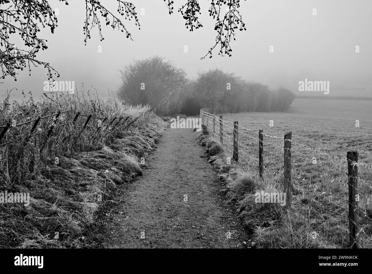 Una nebbiosa mattinata invernale lungo il sentiero pubblico di Arden Way nel Warwickshire. Foto Stock