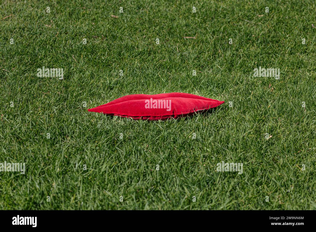 Morbido cuscino a forma di labbro rosso, posizionato orizzontalmente sull'erba in un parco pubblico, regalo ideale per San Valentino. Foto Stock