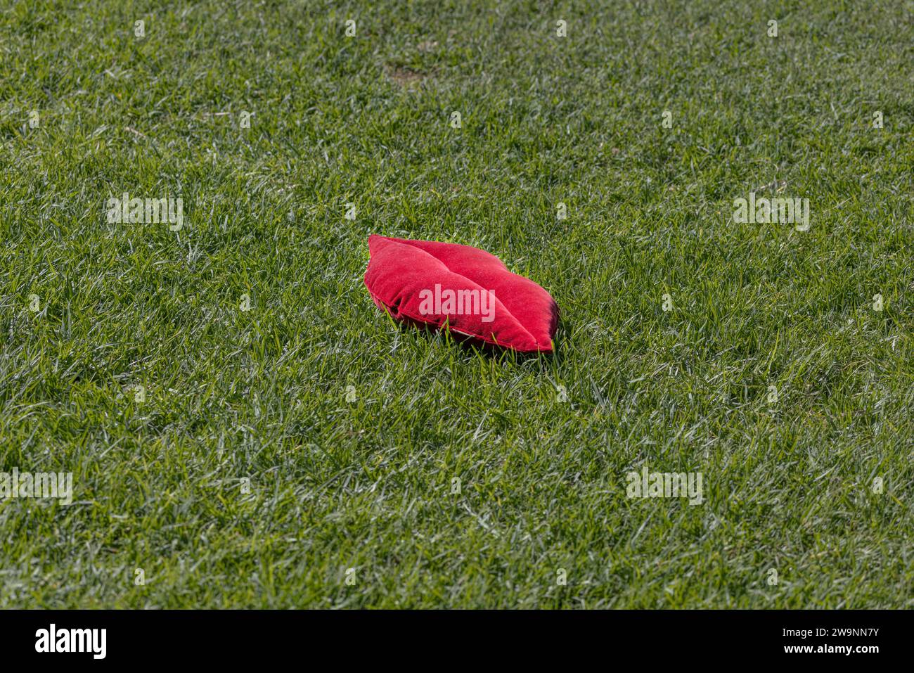 Morbido cuscino a forma di labbro rosso adagiato sull'erba in un parco pubblico, regalo ideale per San Valentino. Foto Stock