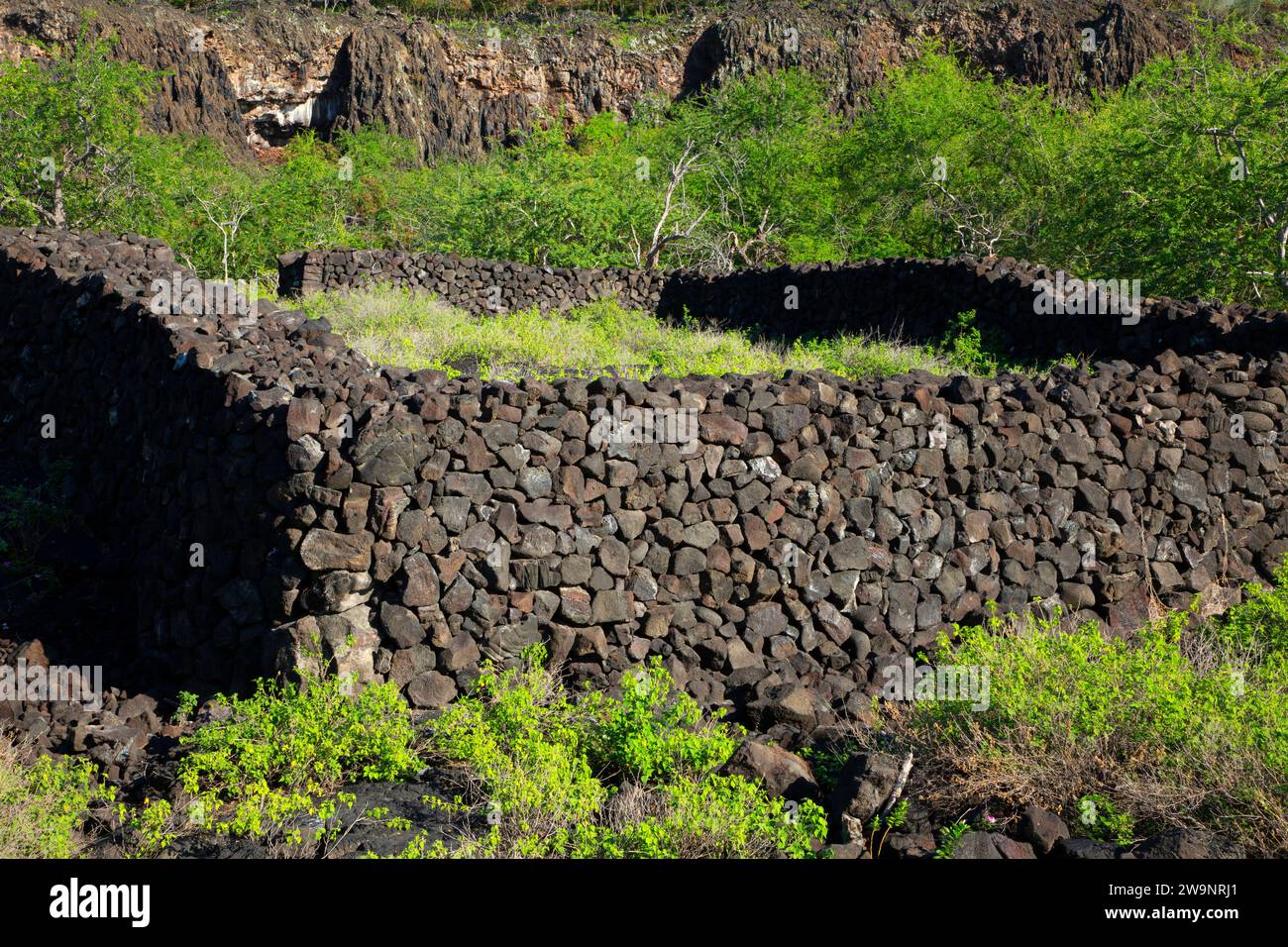 Rovine di mura rocciose del villaggio, Parco storico Nazionale di Puuhonua o Honaunau, Ala Kahakai National Historic Trail, Hawaii Foto Stock