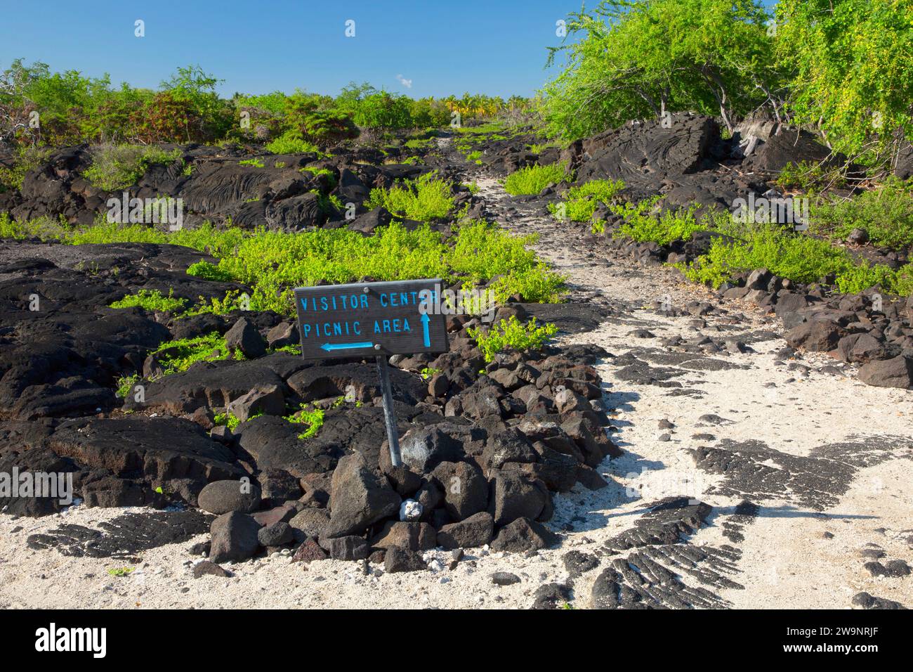Sentiero storico nazionale di ala Kahakai, Puuhonua o Honaunau National Historical Park, Hawaii Foto Stock