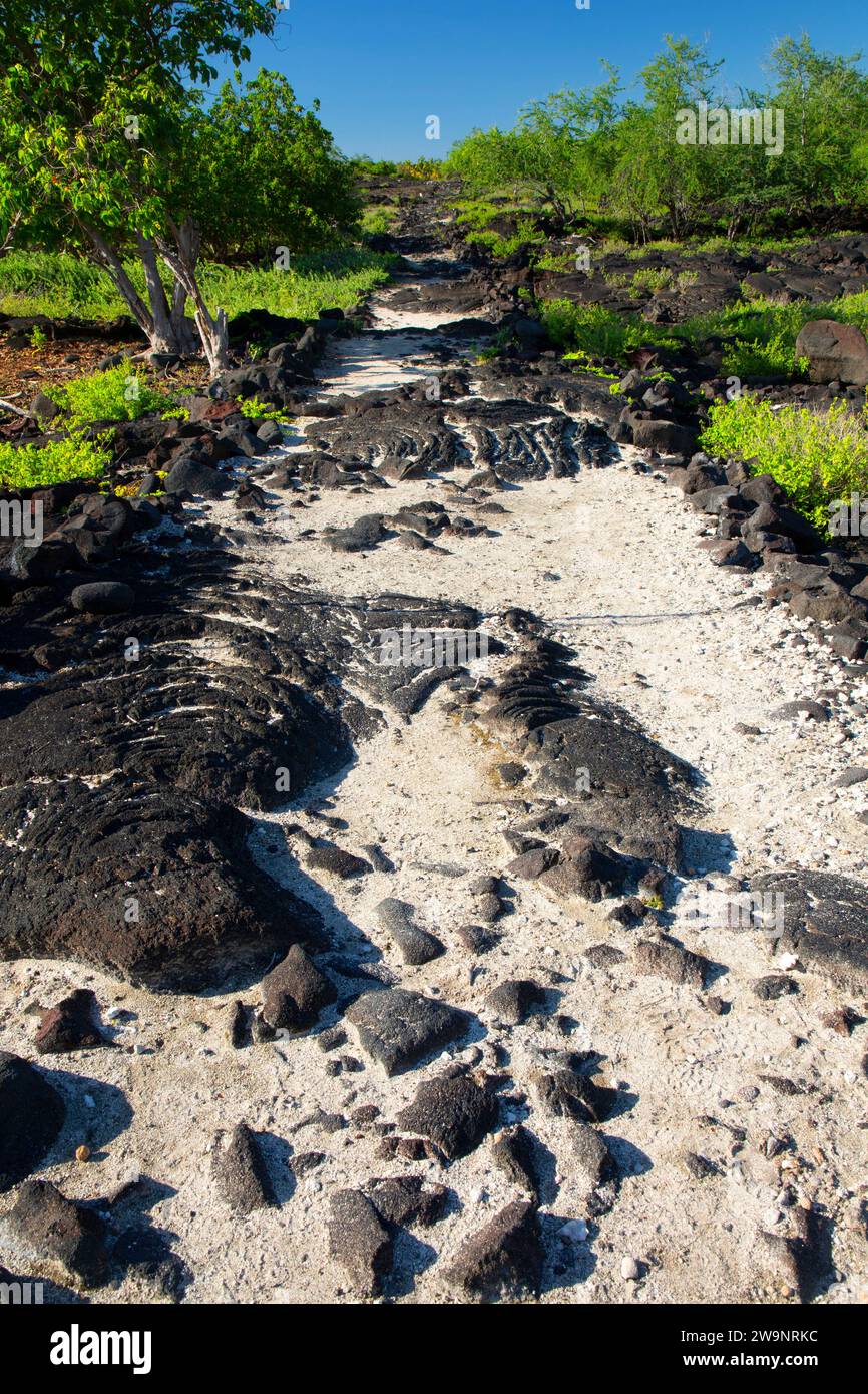 Sentiero storico nazionale di ala Kahakai, Puuhonua o Honaunau National Historical Park, Hawaii Foto Stock