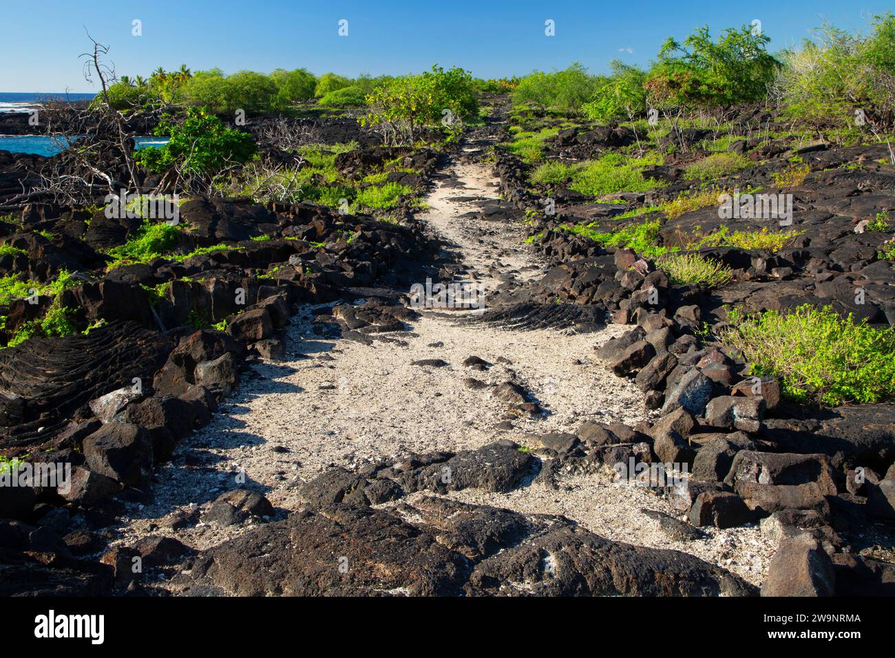 Sentiero storico nazionale di ala Kahakai, Puuhonua o Honaunau National Historical Park, Hawaii Foto Stock