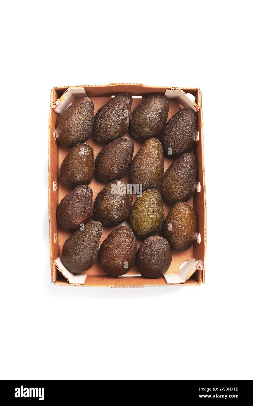 Una scatola di avocado maturo, isolato, con ombra. Consegna di frutta. Foto Stock