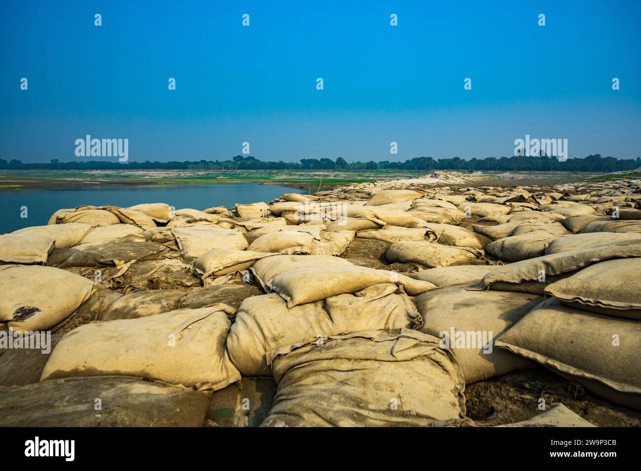 Geobags sacchi di sabbia per proteggere la riva del fiume dall'erosione, il fiume Bangladesh Padma. Foto Stock