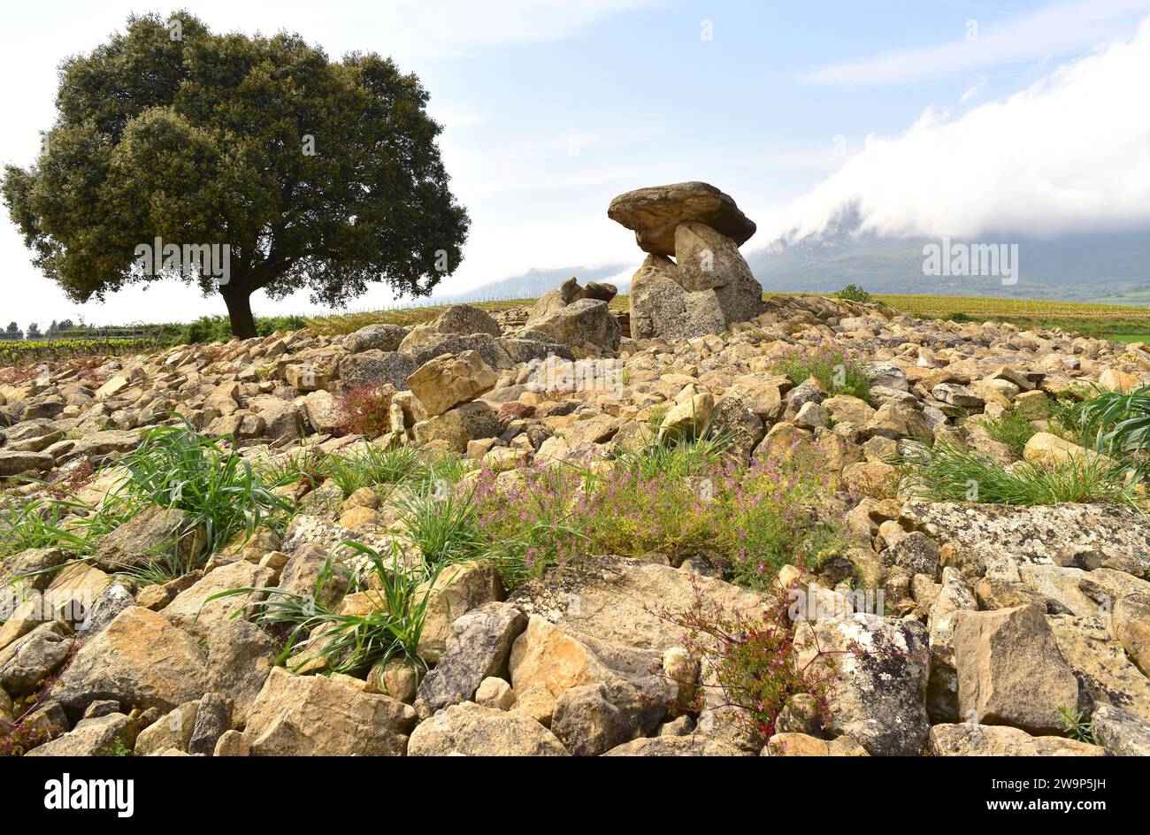 Dolmen Chabola de la Hechicera dopo il restauro. Elvillar, Alava, Euskadi, Spagna. Foto Stock