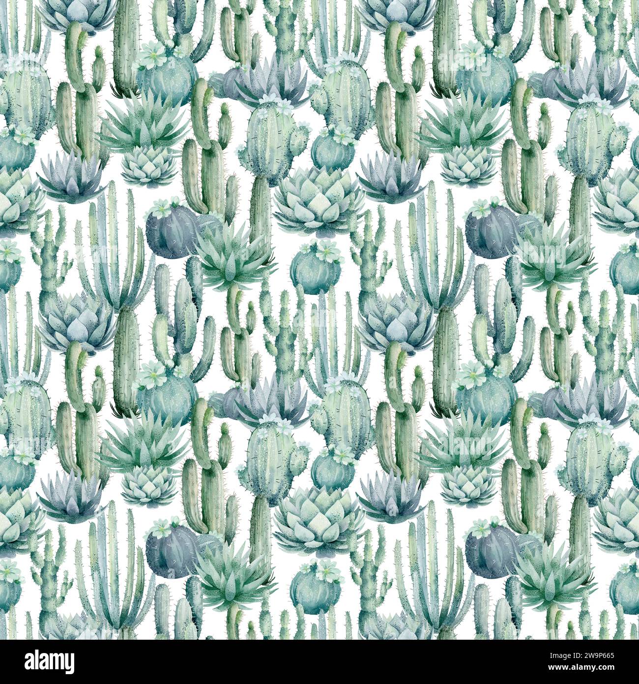 Motivo ad acquerello senza cuciture che raffigura una varietà di cactus e succulenti in colori brillanti su sfondo bianco. Foto Stock