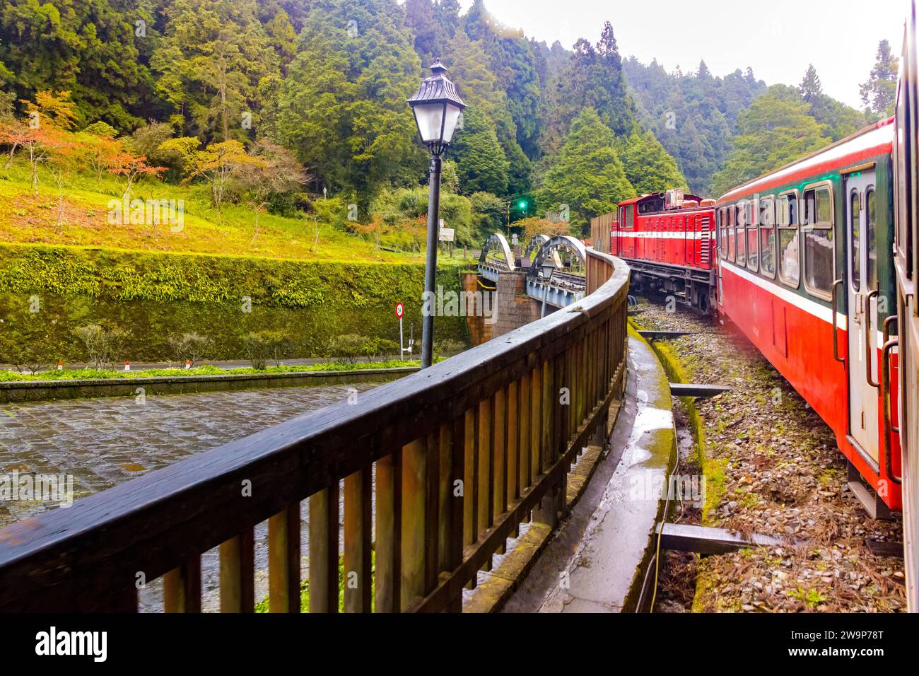 Treno rosso d'epoca che passa dalla foresta verde dell'area forestale nazionale di Alishan a Chiayi, Taiwan Foto Stock