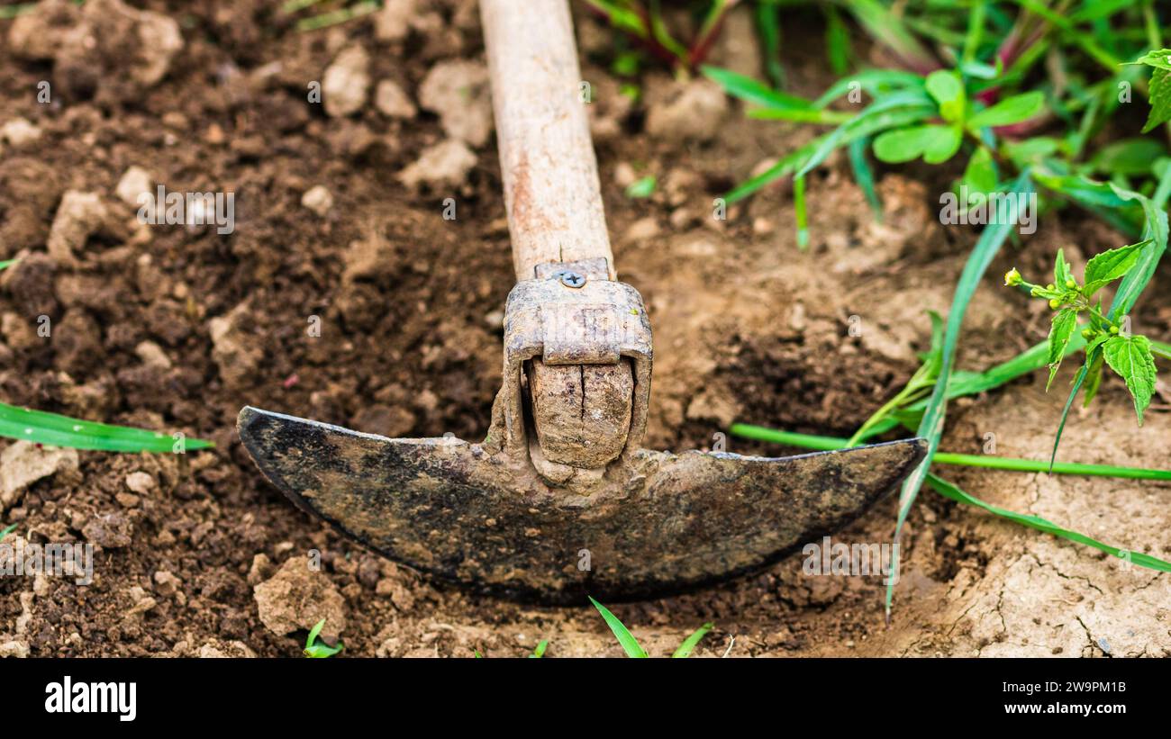 Primo piano dell'utensile a zappa per scavare isolato nel giardino sul terreno. Foto Stock