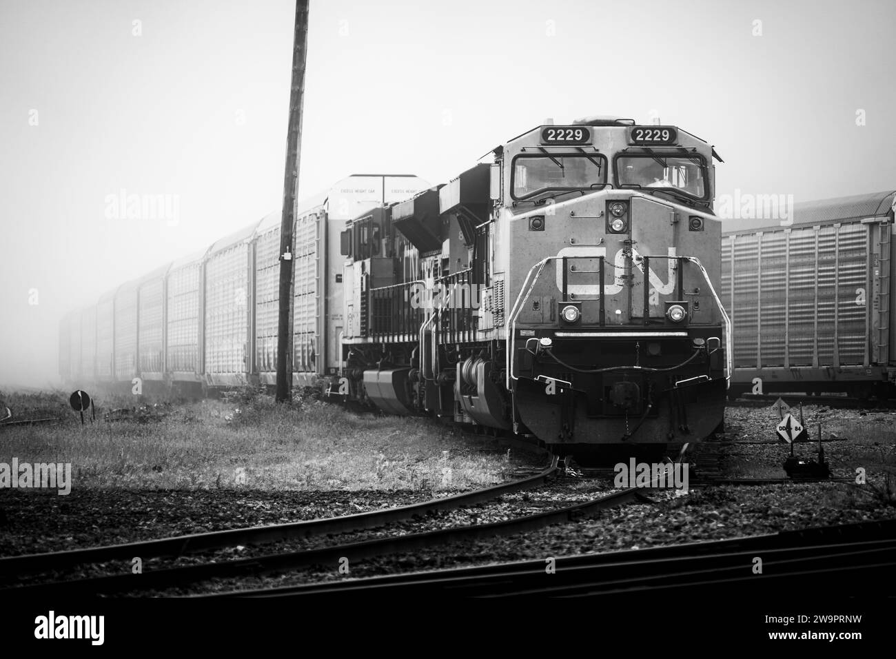 Locomotiva CN Rail e vagoni ferroviari su un fianco nella nebbia. Foto Stock