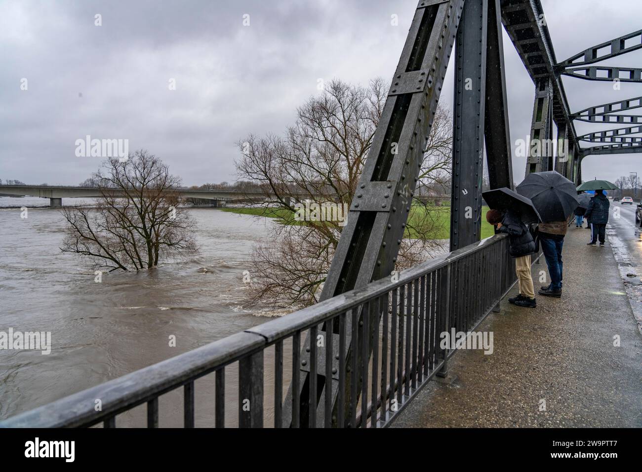 Guardano all'alluvione sulla Ruhr, dopo giorni di forti piogge la Ruhr sta inondando, livello di avvertimento 2 di 3, vicino a Mülheim an der Ruhr, NRW, Germania, Foto Stock