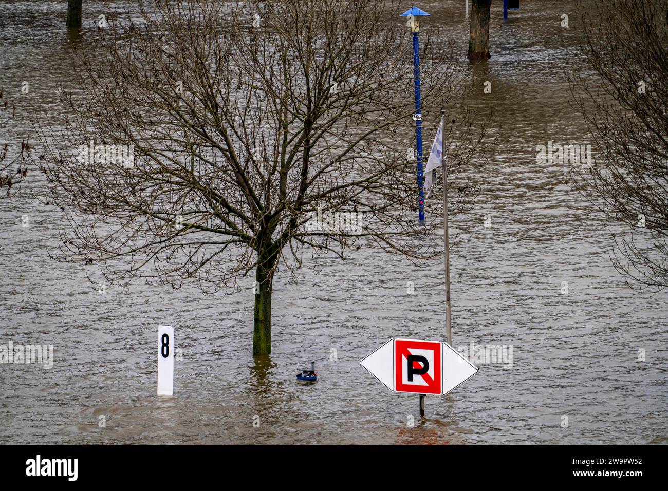 Alluvione sul Reno vicino a Duisburg, fiume vicino a Duisburg-Ruhrort, al Mühlenweide, completamente allagato, NRW, la Germania, Foto Stock