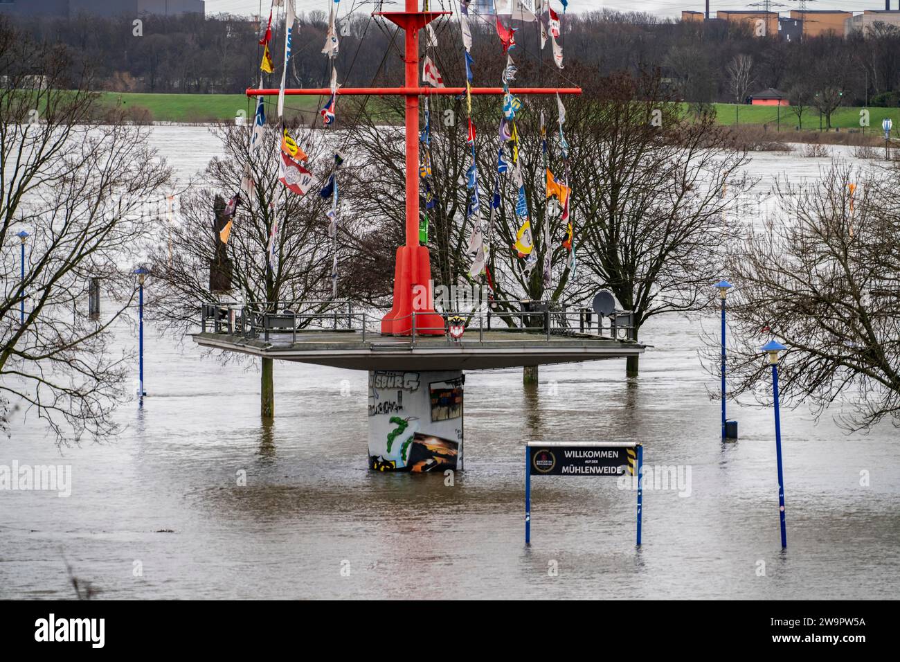 Alluvione sul Reno vicino a Duisburg, fiume vicino a Duisburg-Ruhrort, al Mühlenweide, completamente allagato, NRW, la Germania, Foto Stock
