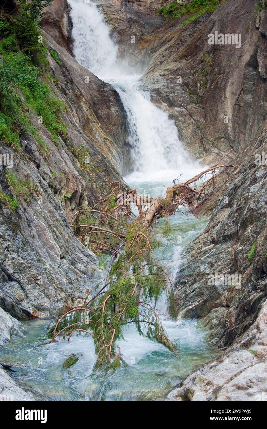 Gorges du Durnand, gola rocciosa, natura, meraviglia naturale, gola, corso d'acqua, viaggi, vacanze, escursioni, Vallese, Svizzera Foto Stock