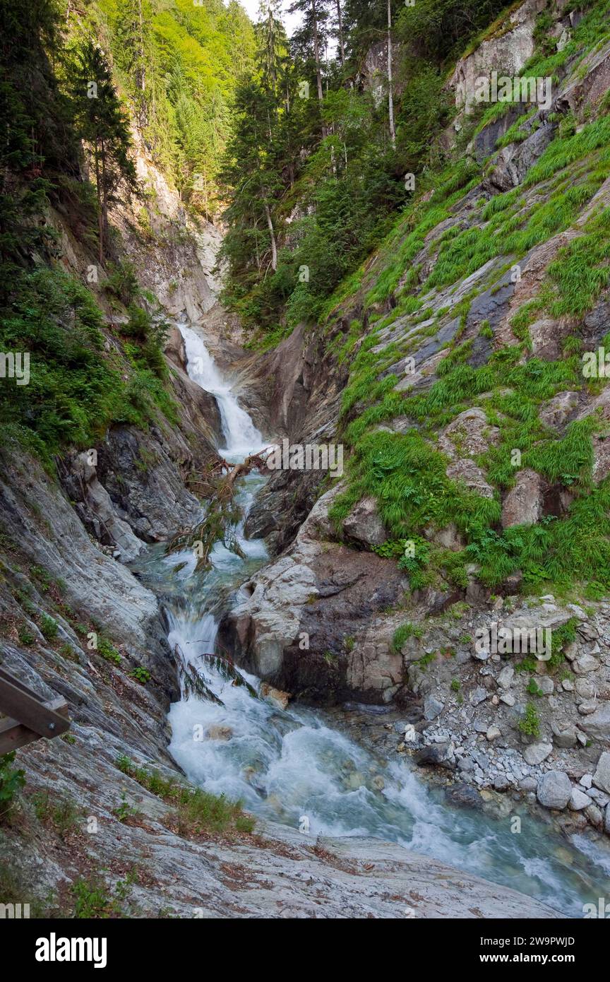 Gorges du Durnand, gola rocciosa, natura, meraviglia naturale, gola, corso d'acqua, viaggi, vacanze, escursioni, Vallese, Svizzera Foto Stock