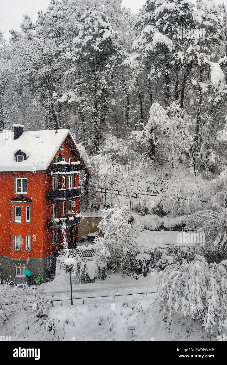 Alberi e casa rossa con neve fresca in una raffica di neve, inverno, Kempten, Allgaeu. Baviera, Germania Foto Stock