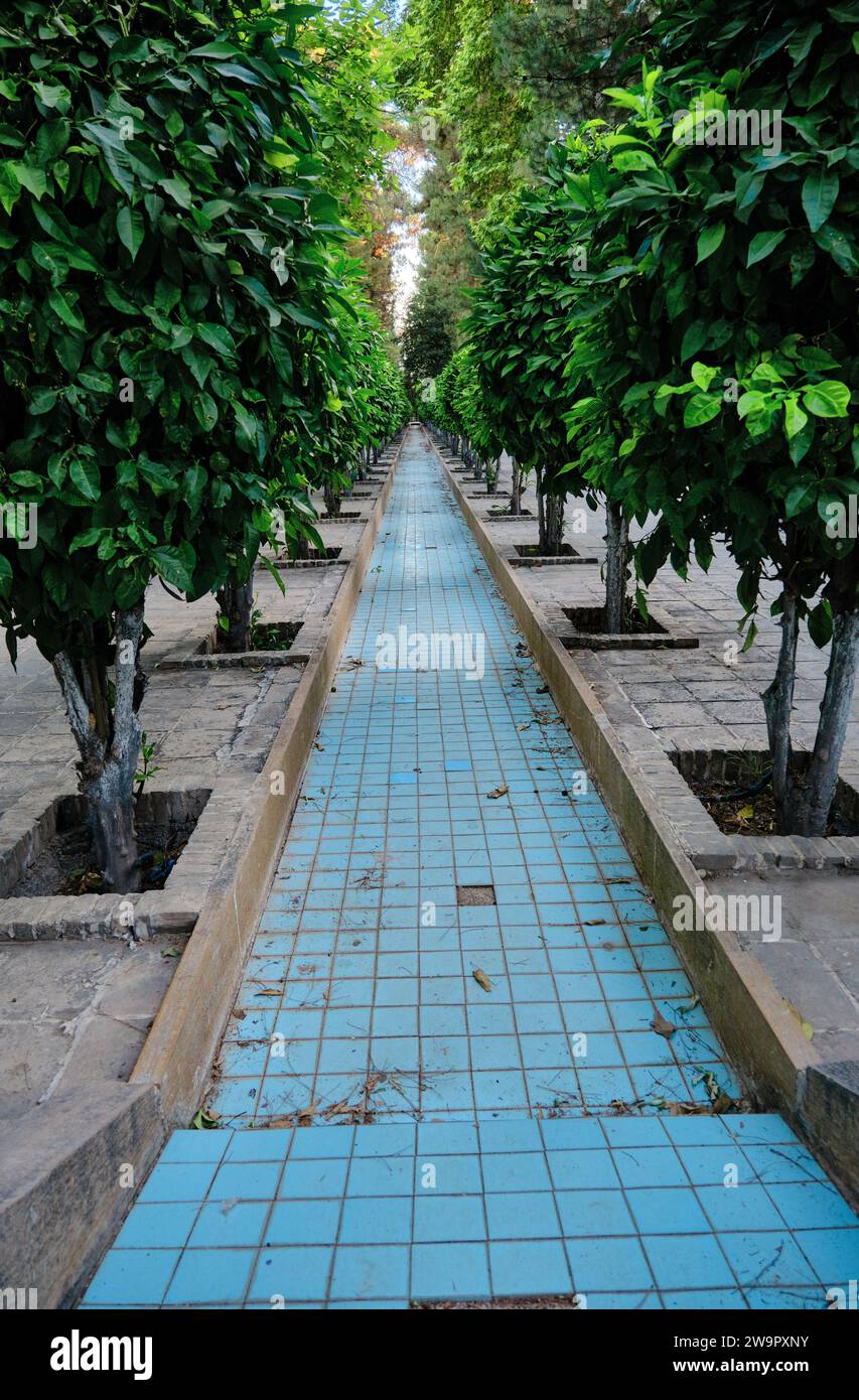 Giardino botanico di Shiraz a Narenjestan Qavam, percorso d'acqua sopra l'albero verde nel giardino botanico di shiraz, Iran. Foto Stock