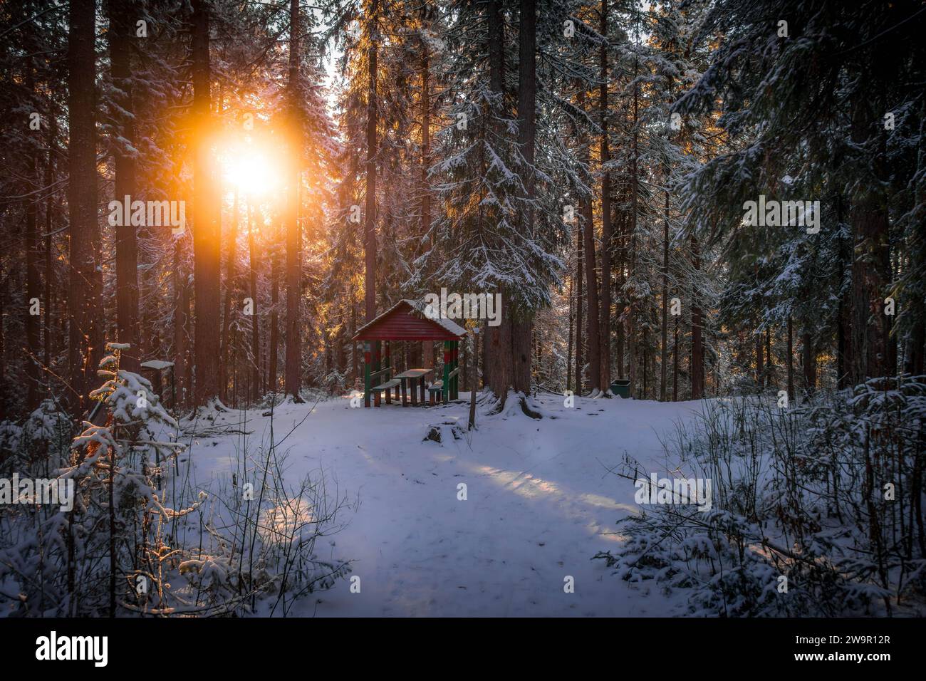 La piccola cabina nella foresta invernale con alberi di pino innevati con i colori del tramonto nella taiga siberiana a Khanty-Mansiysk, Russia. Foto Stock