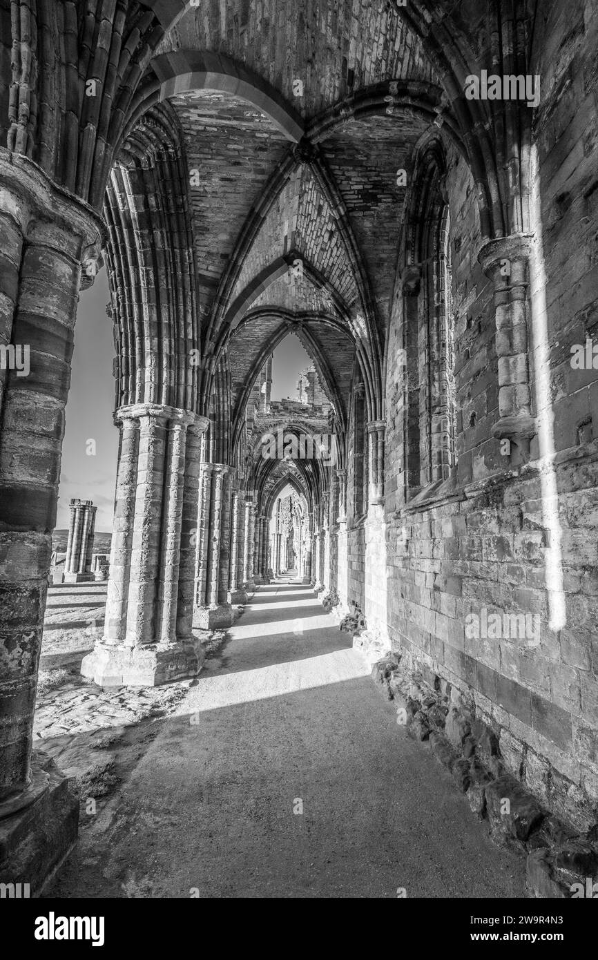Abbazia di Whitby Foto Stock