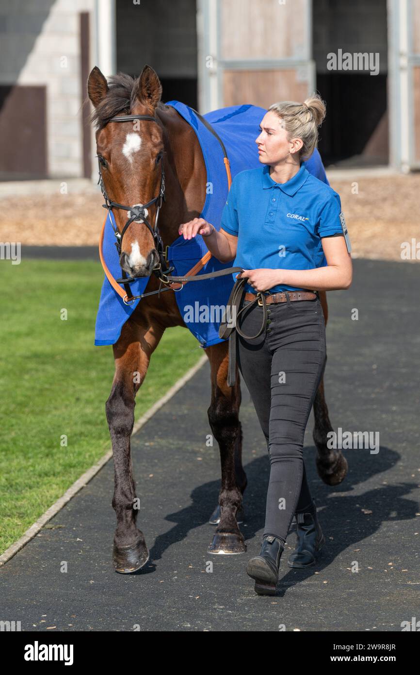 Tank di riserva guidato da Brendan Powell per Joe Tizzard a Wincanton il 21 marzo 2022 Foto Stock