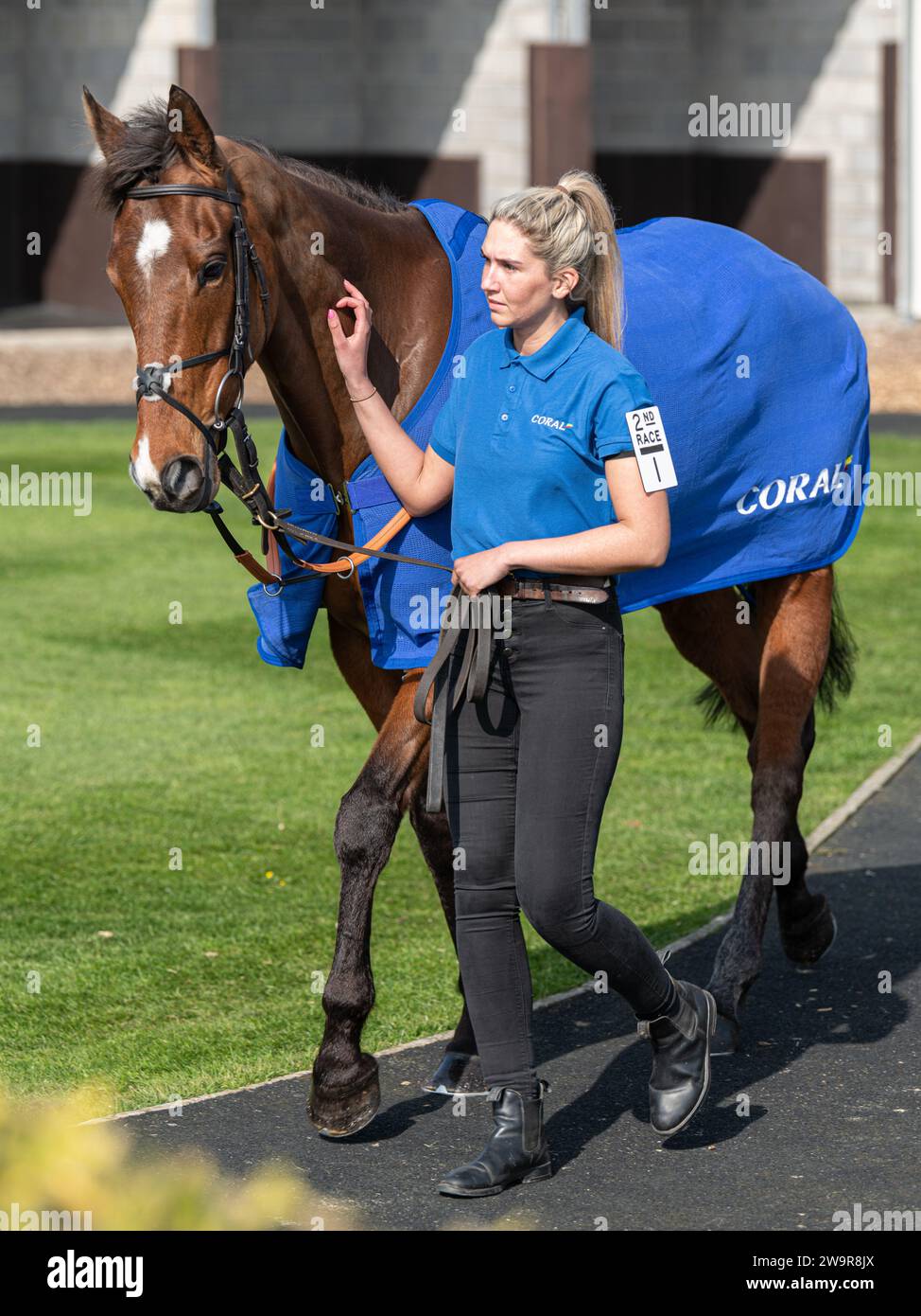 Tank di riserva guidato da Brendan Powell per Joe Tizzard a Wincanton il 21 marzo 2022 Foto Stock