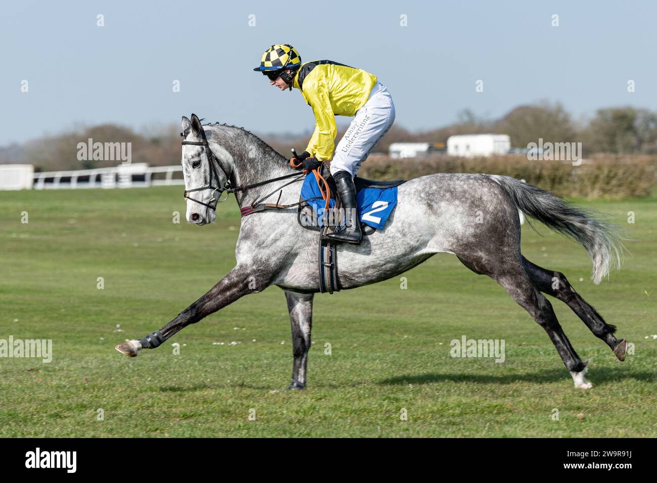 Guernsey, guidato da Tom o'Brien e allenato da Philip Hobbs, corre su ostacoli a Wincanton, il 21 marzo 2022 Foto Stock