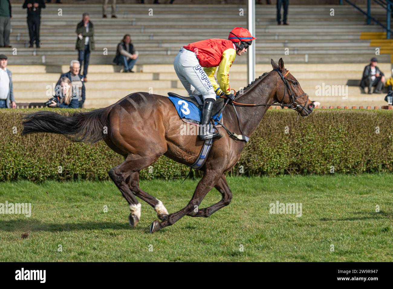 Ballyblack Racing over hurdles a Wincanton, 21 marzo 2022. Guidato da Rex Dingle e addestrato da Jeremy Scott. Foto Stock