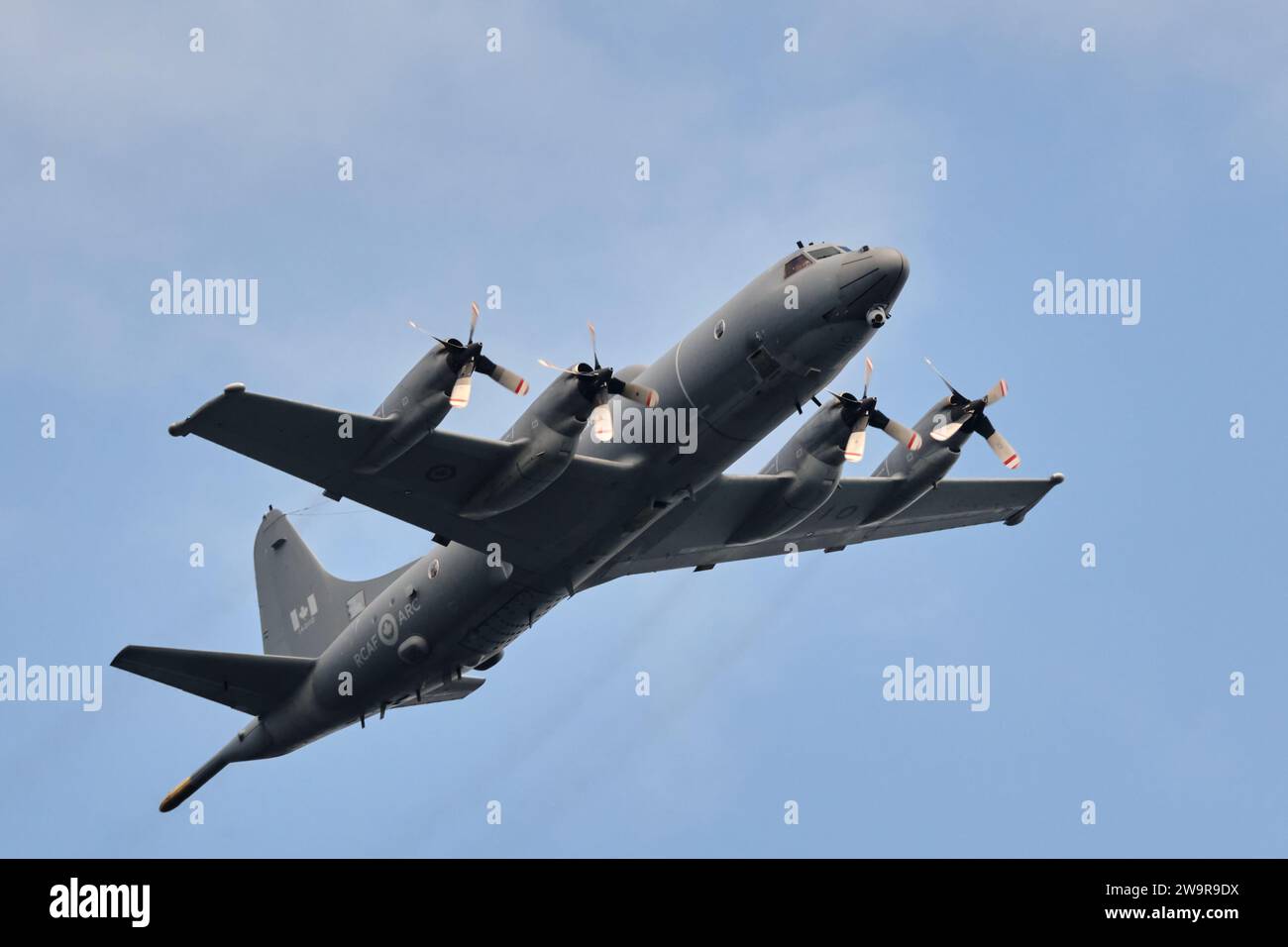 CP-140 Aurora , un aereo da pattuglia marittimo operato dalla Royal Canadian Air Force vola sopra Halifax Foto Stock
