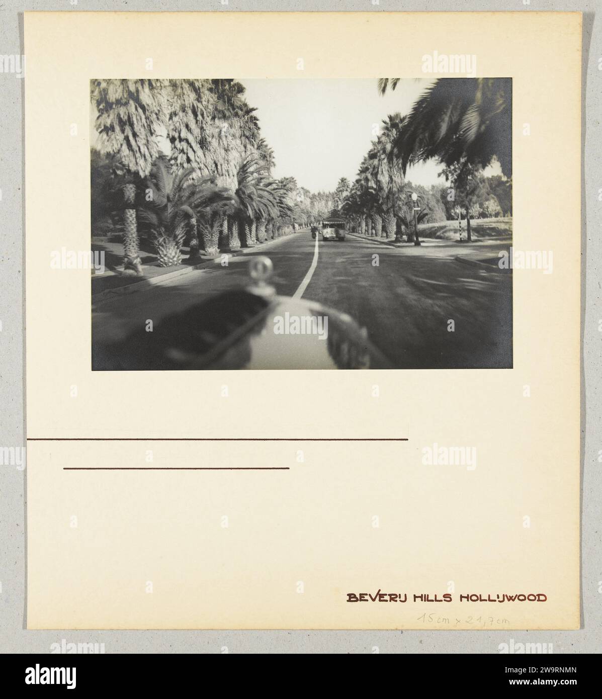Beverly Hills, Hollywood, California, Stati Uniti: Vista da un'auto in movimento, 1936 Fotografia carta degli Stati Uniti d'America. supporto fotografico. strada pubblica in cartone con stampa in argento e gelatina. alberi: palme Foto Stock