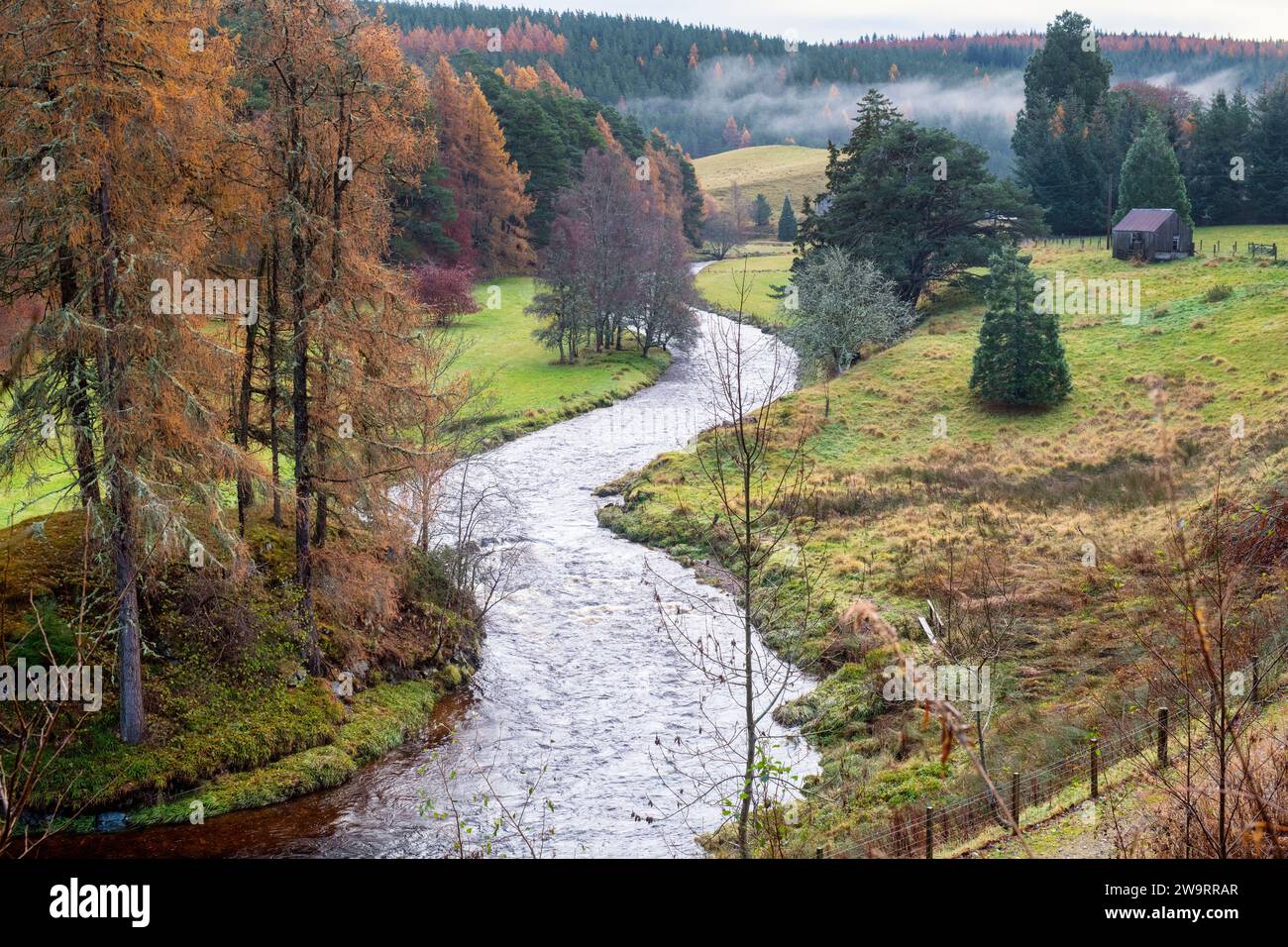 Il fiume Don attraversa la campagna scozzese a novembre. Strathdon, Aberdeenshire, Scozia Foto Stock