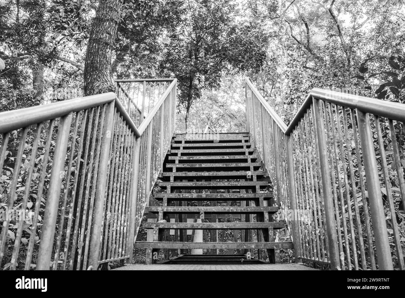 DFO Bungalow a Nilambur, Kerala India Foto Stock